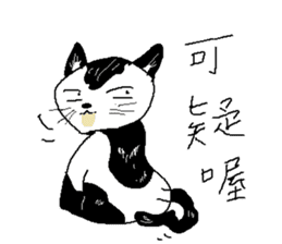 Sesame cat dating time sticker #15904126