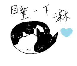 Sesame cat dating time sticker #15904128