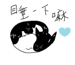 Sesame cat dating time sticker #15904128