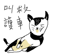 Sesame cat dating time sticker #15904129