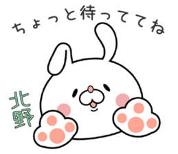 Bunny Sticker Kitano sticker #15904144