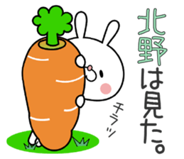 Bunny Sticker Kitano sticker #15904162