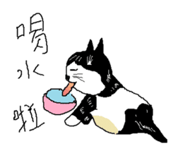Sesame cat working hours sticker #15904241