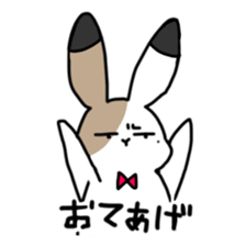 Calico Rabbit 2 sticker #15904994