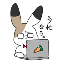 Calico Rabbit 2 sticker #15904998