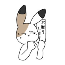 Calico Rabbit 2 sticker #15905000