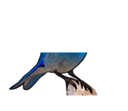 Animal Puzzle sticker #15905221