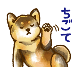 Niigata dialect speaking shibainu 3 sticker #15905867