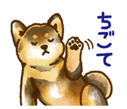 Niigata dialect speaking shibainu 3 sticker #15905867