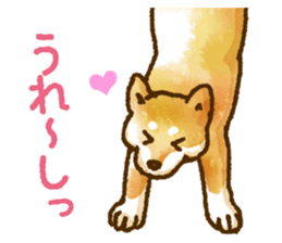 Niigata dialect speaking shibainu 3 sticker #15905868