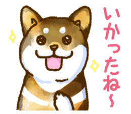 Niigata dialect speaking shibainu 3 sticker #15905870