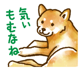 Niigata dialect speaking shibainu 3 sticker #15905873