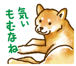 Niigata dialect speaking shibainu 3 sticker #15905873