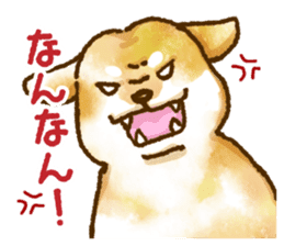 Niigata dialect speaking shibainu 3 sticker #15905874