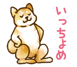 Niigata dialect speaking shibainu 3 sticker #15905876