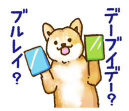 Niigata dialect speaking shibainu 3 sticker #15905879