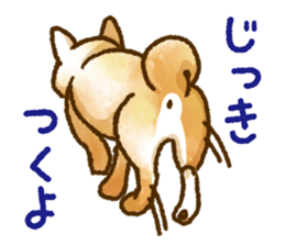 Niigata dialect speaking shibainu 3 sticker #15905884