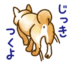 Niigata dialect speaking shibainu 3 sticker #15905884