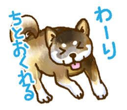 Niigata dialect speaking shibainu 3 sticker #15905885