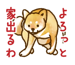 Niigata dialect speaking shibainu 3 sticker #15905888