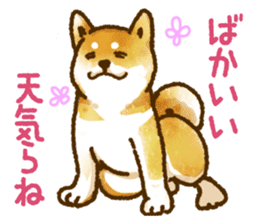 Niigata dialect speaking shibainu 3 sticker #15905890