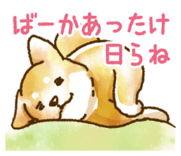 Niigata dialect speaking shibainu 3 sticker #15905892