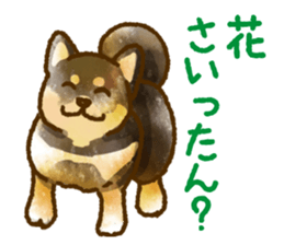 Niigata dialect speaking shibainu 3 sticker #15905893