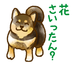 Niigata dialect speaking shibainu 3 sticker #15905893