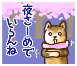 Niigata dialect speaking shibainu 3 sticker #15905895
