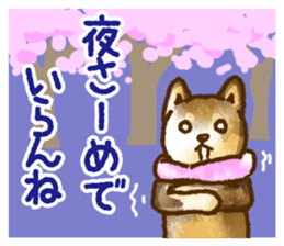 Niigata dialect speaking shibainu 3 sticker #15905895