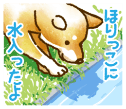 Niigata dialect speaking shibainu 3 sticker #15905896