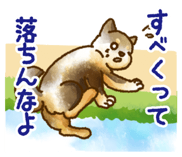 Niigata dialect speaking shibainu 3 sticker #15905900
