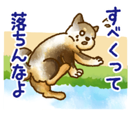 Niigata dialect speaking shibainu 3 sticker #15905900