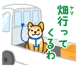 Niigata dialect speaking shibainu 3 sticker #15905901