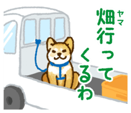 Niigata dialect speaking shibainu 3 sticker #15905901