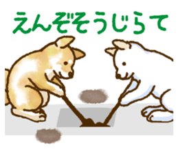 Niigata dialect speaking shibainu 3 sticker #15905905