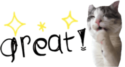 cat of cure English conversation version sticker #15905917