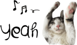 cat of cure English conversation version sticker #15905920