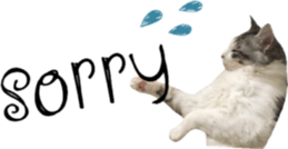 cat of cure English conversation version sticker #15905924