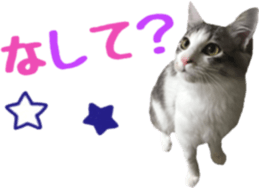 cat of cure TOHOKU dialect sticker #15905966