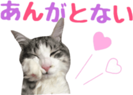 cat of cure TOHOKU dialect sticker #15905971