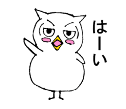 The standard owl sticker #15906089