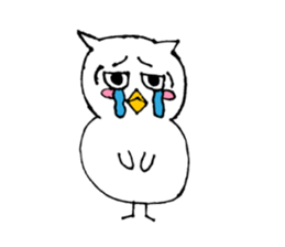 The standard owl sticker #15906091