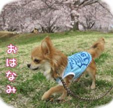 Sticker of Cereza14 sticker #15906178