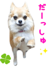 Sticker of Cereza14 sticker #15906189