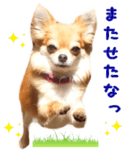 Sticker of Cereza14 sticker #15906195