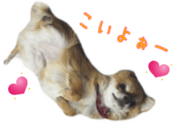 Sticker of Cereza14 sticker #15906196