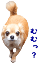 Sticker of Cereza14 sticker #15906202