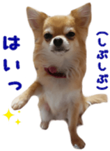 Sticker of Cereza14 sticker #15906203