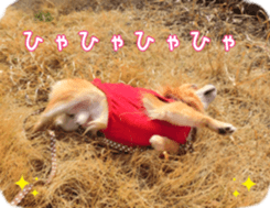 Sticker of Cereza14 sticker #15906208